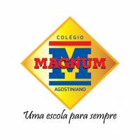 Magnum_logo